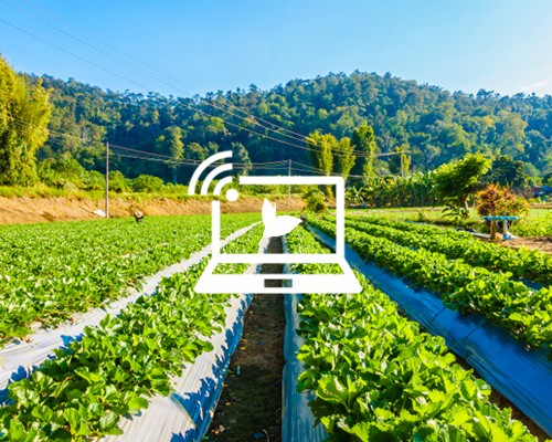 Smart-Agriculture